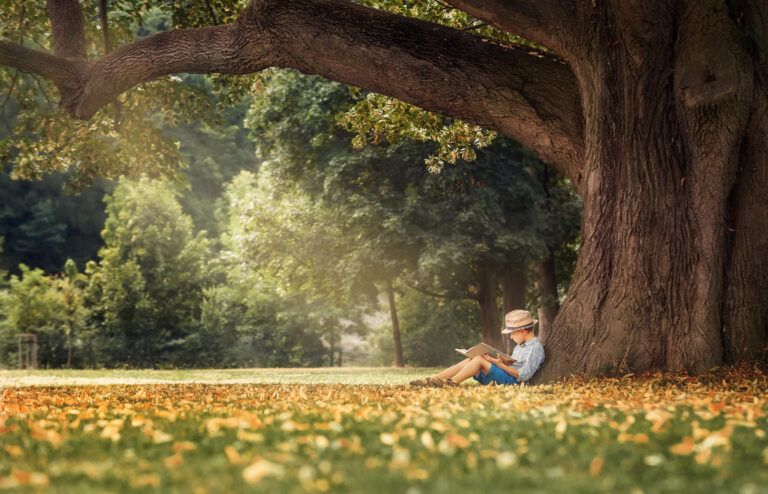 A child sitting alone under a large tree in a park